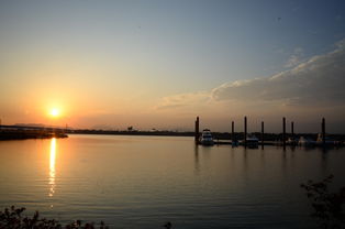 澳客-千帆竞发，轻艇马拉松点亮湖滨赛场，赛艇马拉松多少公里