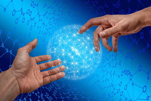 澳客足彩网站-德国仰泳项目技术稳定提升，德国仰泳项目技术稳定提升方案